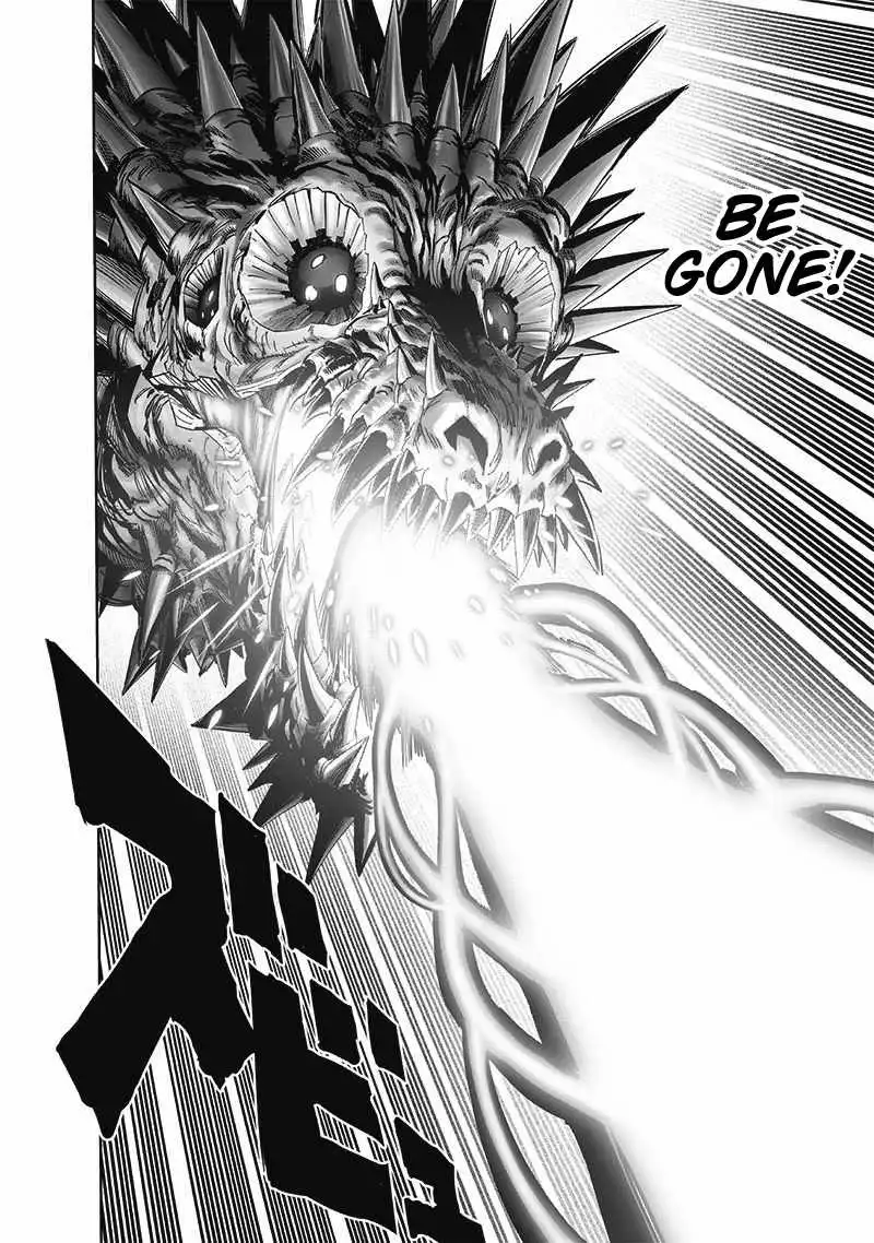 One-Punch Man Chapter 193 16